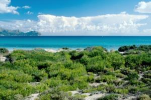 Benvinguts Hotel Port de Alcudia  Buitenkant foto